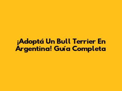 ¡Adoptá Un Bull Terrier En Argentina! Guía Completa