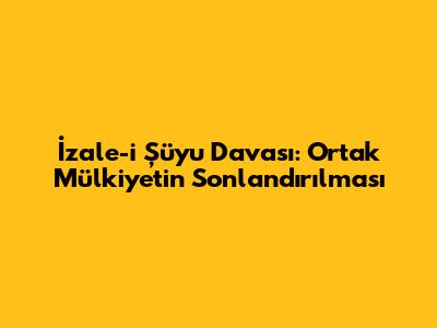 İzale-i Şüyu Davası: Ortak Mülkiyetin Sonlandırılması