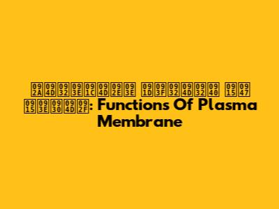 प्लाज्मा झिल्ली के कार्य: Functions Of Plasma Membrane
