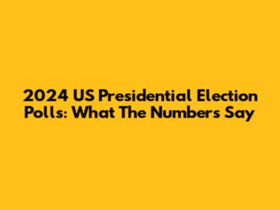 2024 US Presidential Election Polls: What The Numbers Say