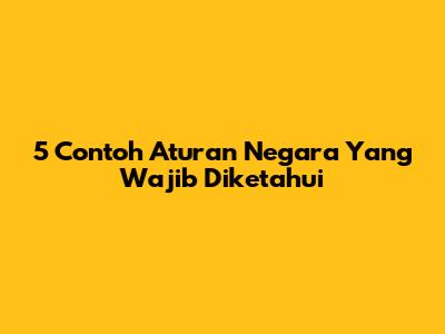 5 Contoh Aturan Negara Yang Wajib Diketahui
