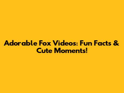 Adorable Fox Videos: Fun Facts & Cute Moments!