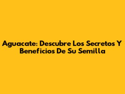 Aguacate: Descubre Los Secretos Y Beneficios De Su Semilla