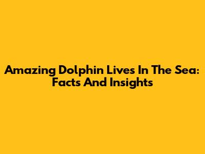 Amazing Dolphin Lives In The Sea: Facts And Insights