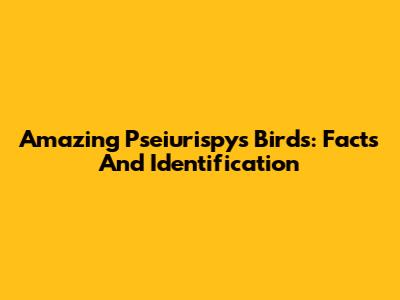 Amazing Pseiurispys Birds: Facts And Identification