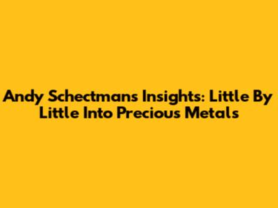 Andy Schectman's Insights: Little By Little Into Precious Metals