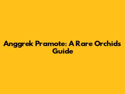 Anggrek Pramote: A Rare Orchid's Guide