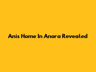 Ani's Home In Anora Revealed