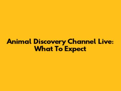 Animal Discovery Channel Live: What To Expect