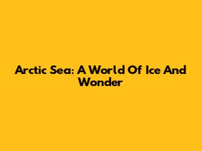 Arctic Sea: A World Of Ice And Wonder
