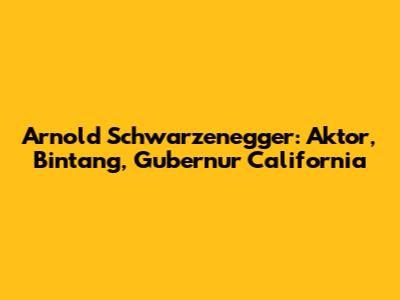 Arnold Schwarzenegger: Aktor, Bintang, Gubernur California