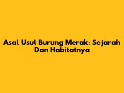 Asal Usul Burung Merak: Sejarah Dan Habitatnya