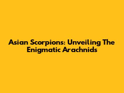 Asian Scorpions: Unveiling The Enigmatic Arachnids