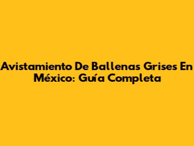Avistamiento De Ballenas Grises En México: Guía Completa