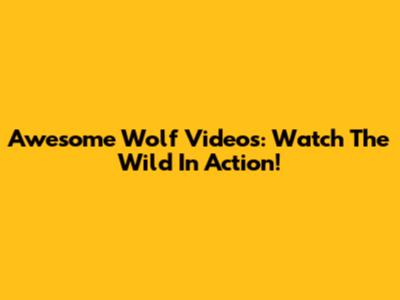 Awesome Wolf Videos: Watch The Wild In Action!