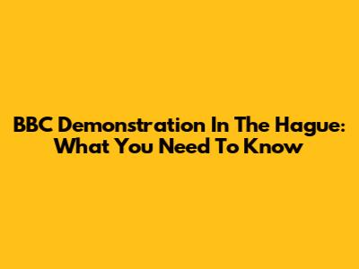 BBC Demonstration In The Hague: What You Need To Know