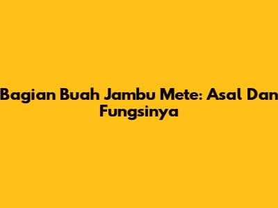 Bagian Buah Jambu Mete: Asal Dan Fungsinya