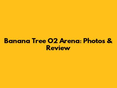 Banana Tree O2 Arena: Photos & Review