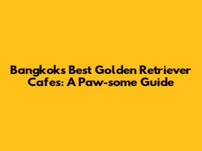 Bangkok's Best Golden Retriever Cafes: A Paw-some Guide