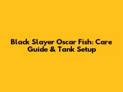 Black Slayer Oscar Fish: Care Guide & Tank Setup