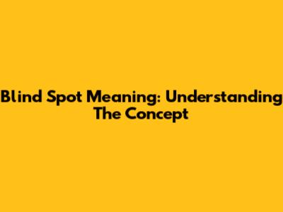 Blind Spot Meaning: Understanding The Concept