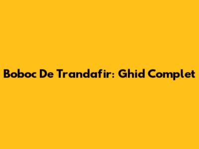 Boboc De Trandafir: Ghid Complet