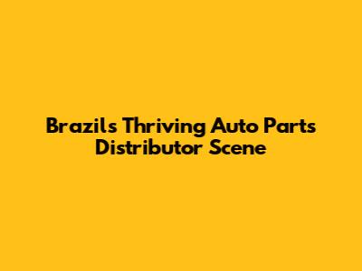 Brazil's Thriving Auto Parts Distributor Scene