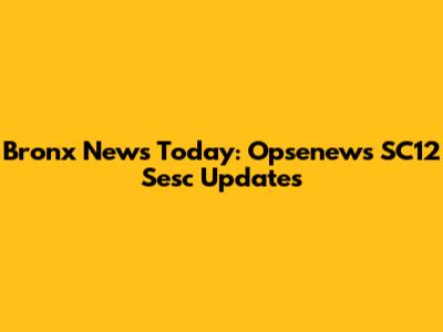 Bronx News Today: Opsenews SC12 Sesc Updates