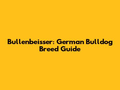 Bullenbeisser: German Bulldog Breed Guide