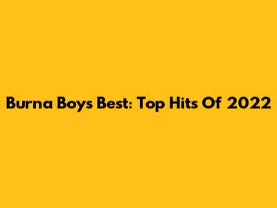 Burna Boy's Best: Top Hits Of 2022
