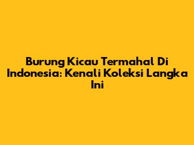 Burung Kicau Termahal Di Indonesia: Kenali Koleksi Langka Ini