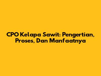 CPO Kelapa Sawit: Pengertian, Proses, Dan Manfaatnya