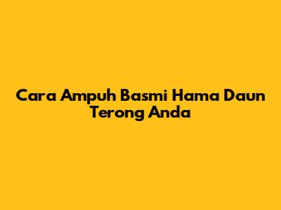 Cara Ampuh Basmi Hama Daun Terong Anda
