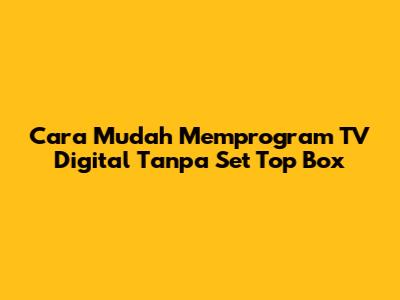Cara Mudah Memprogram TV Digital Tanpa Set Top Box