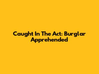 Caught In The Act: Burglar Apprehended