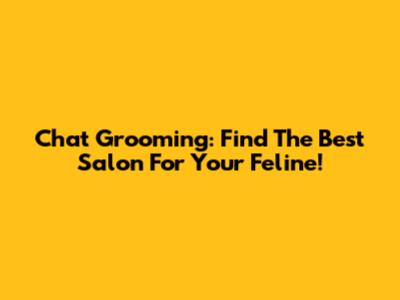 Chat Grooming: Find The Best Salon For Your Feline!