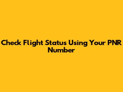 Check Flight Status Using Your PNR Number