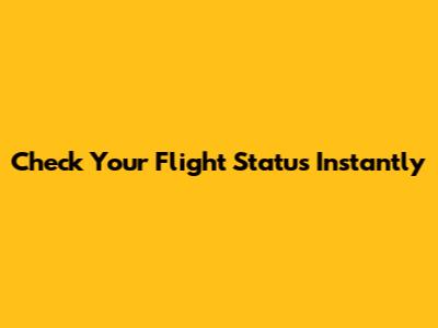 Check Your Flight Status Instantly