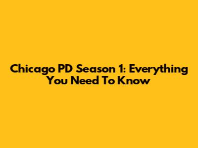 Chicago PD Season 1: Everything You Need To Know