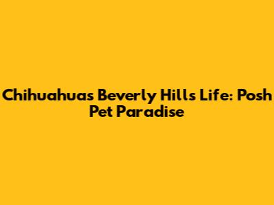 Chihuahua's Beverly Hills Life: Posh Pet Paradise