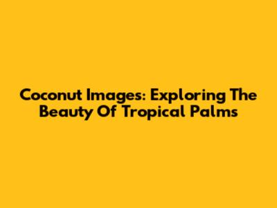 Coconut Images: Exploring The Beauty Of Tropical Palms