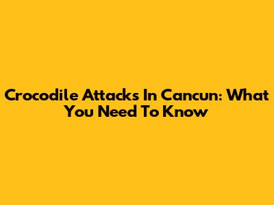 Crocodile Attacks In Cancun: What You Need To Know