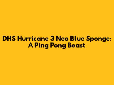 DHS Hurricane 3 Neo Blue Sponge: A Ping Pong Beast