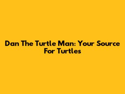 Dan The Turtle Man: Your Source For Turtles