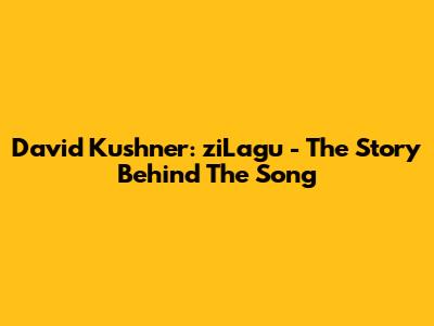 David Kushner: "ziLagu" - The Story Behind The Song