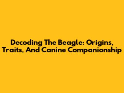 Decoding The Beagle: Origins, Traits, And Canine Companionship
