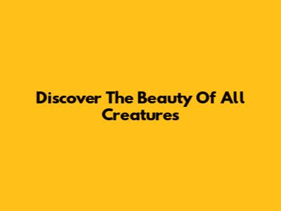 Discover The Beauty Of All Creatures