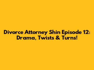 Divorce Attorney Shin Episode 12: Drama, Twists & Turns!
