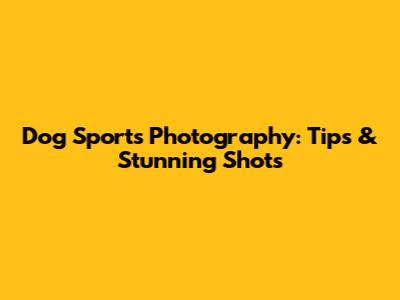 Dog Sports Photography: Tips & Stunning Shots