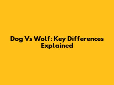 Dog Vs Wolf: Key Differences Explained